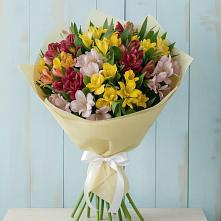 Букет цветов из:  Альстромерии в Хатассах