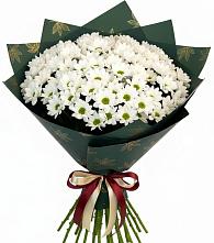 Букет цветов из:  Хризантемы #REPLACE_PRED# Хатассах