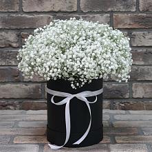 Цветочная композиция из Гипсофила в шляпной коробке в Хатассах