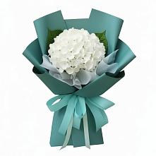 Букет цветов из:  Гортензия в Хатассах